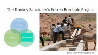 Working animals: Climate change and public health issues in achieving the Sustainable Development Goals