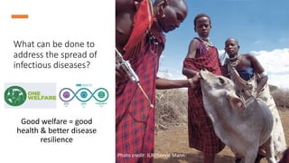 Working animals: Climate change and public health issues in achieving the Sustainable Development Goals