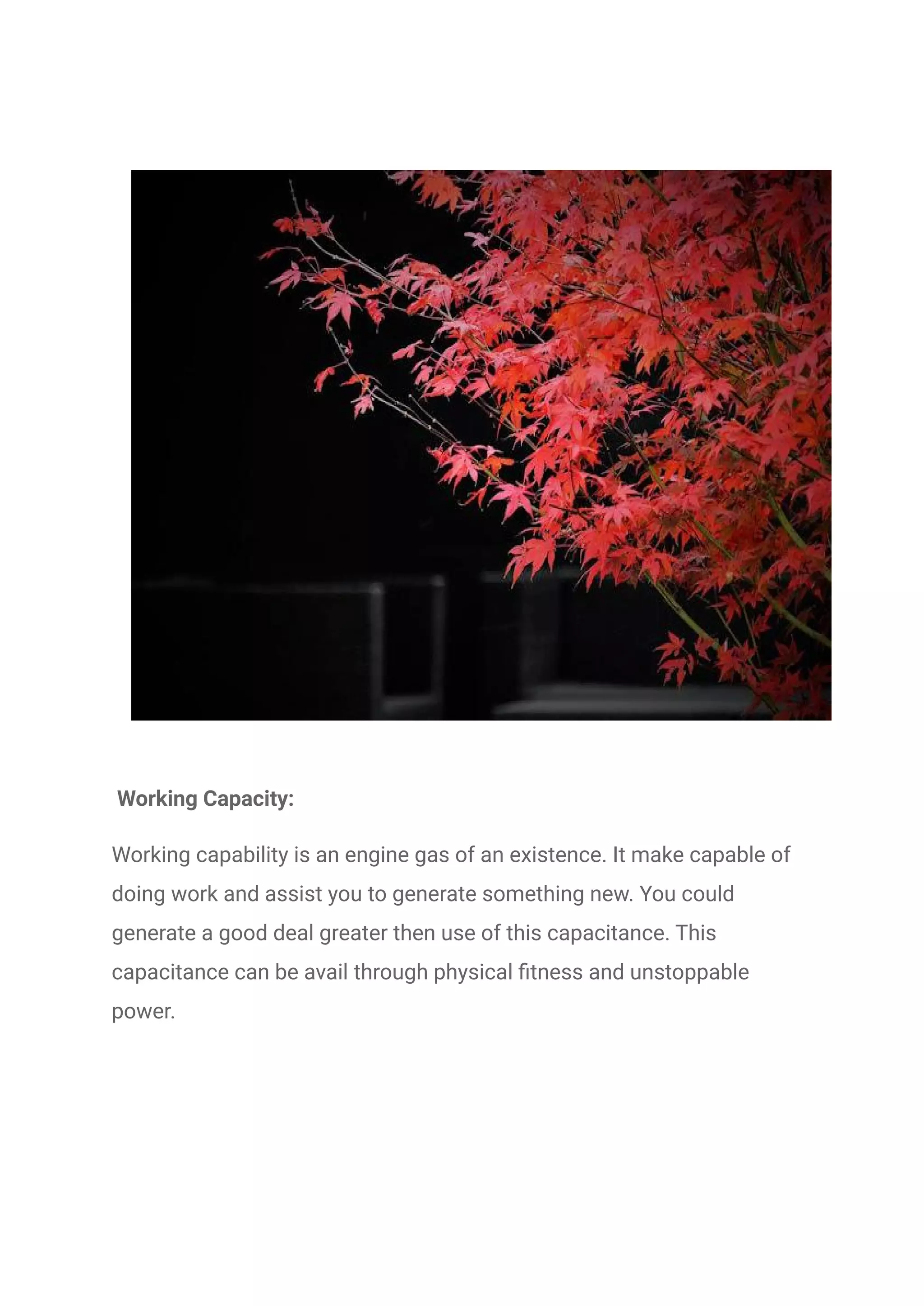 Working Capacity:
Working capability is an engine gas of an existence. It make capable of
doing work and assist you to generate something new. You could
generate a good deal greater then use of this capacitance. This
capacitance can be avail through physical fitness and unstoppable
power.
 