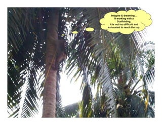 Imagine & dreaming…
      If working with a
         Scaffolding.
 It is not too difficult and
exhausted to reach the top.
 