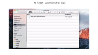 #2 - Handoff / Guidelines / Activate plugin
 