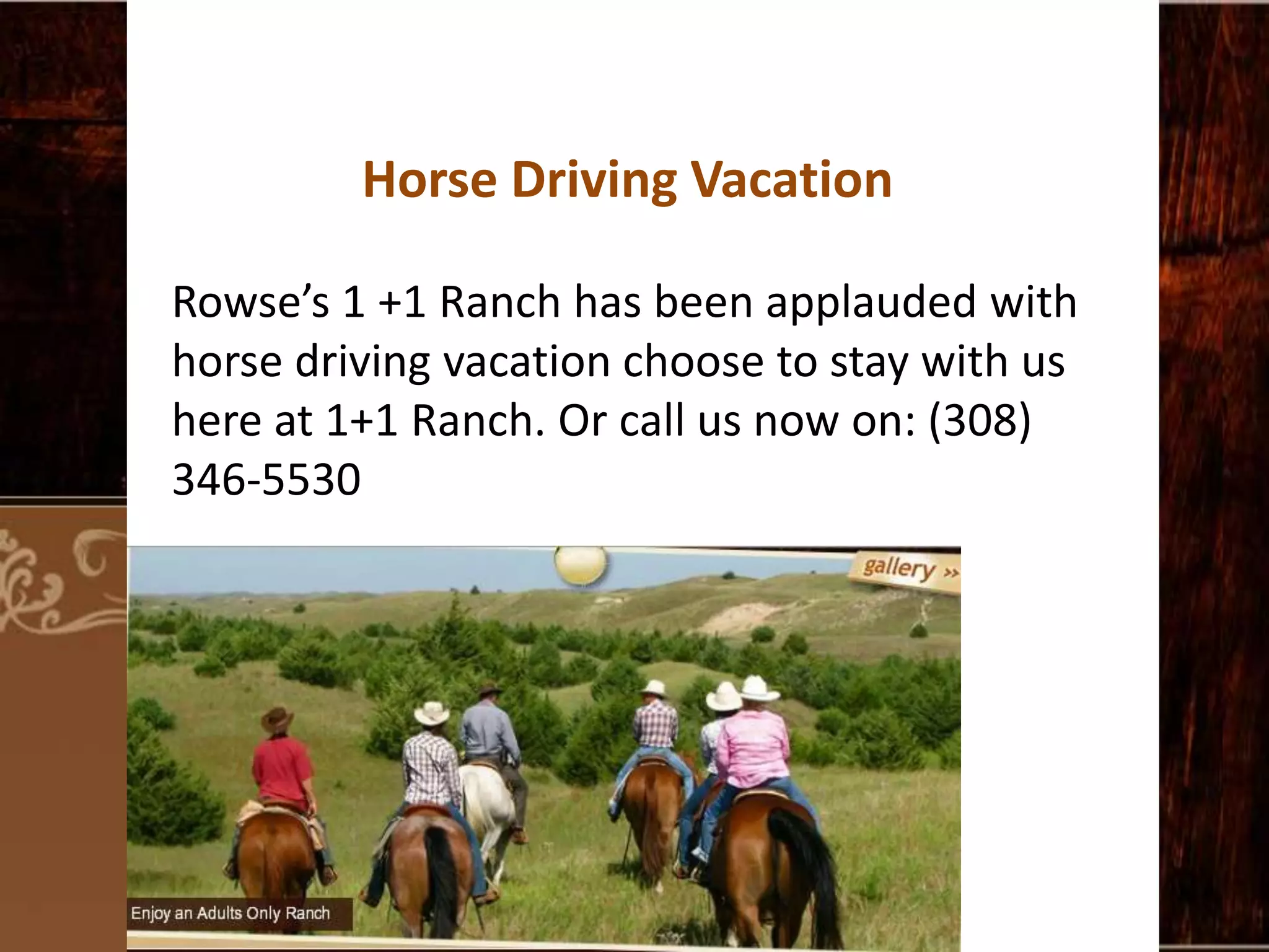 Horse Driving Vacation
Rowse’s 1 +1 Ranch has been applauded with
horse driving vacation choose to stay with us
here at 1+1 Ranch. Or call us now on: (308)
346-5530

 
