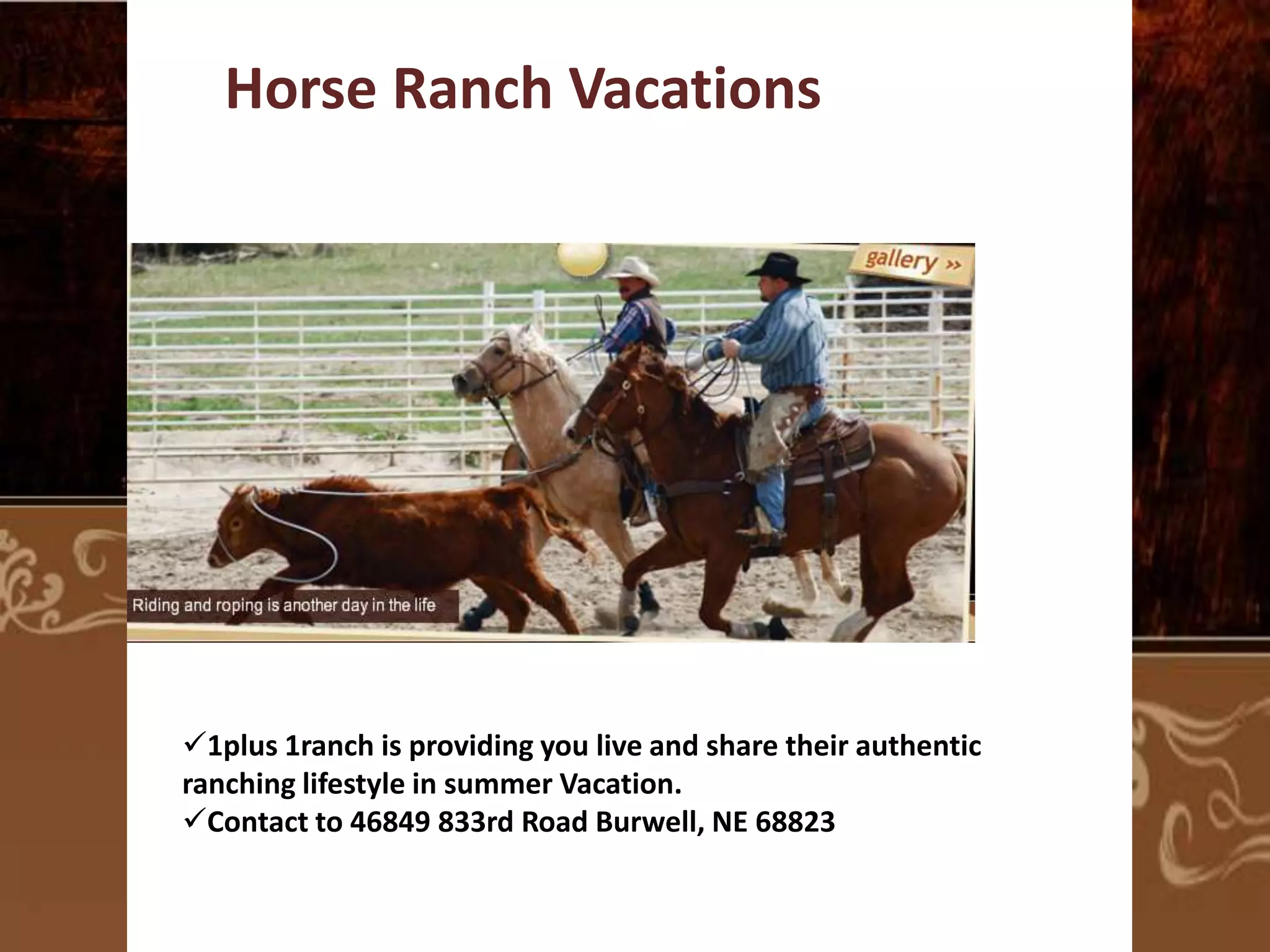 Horse Ranch Vacations

1plus 1ranch is providing you live and share their authentic
ranching lifestyle in summer Vacation.
Contact to 46849 833rd Road Burwell, NE 68823

 