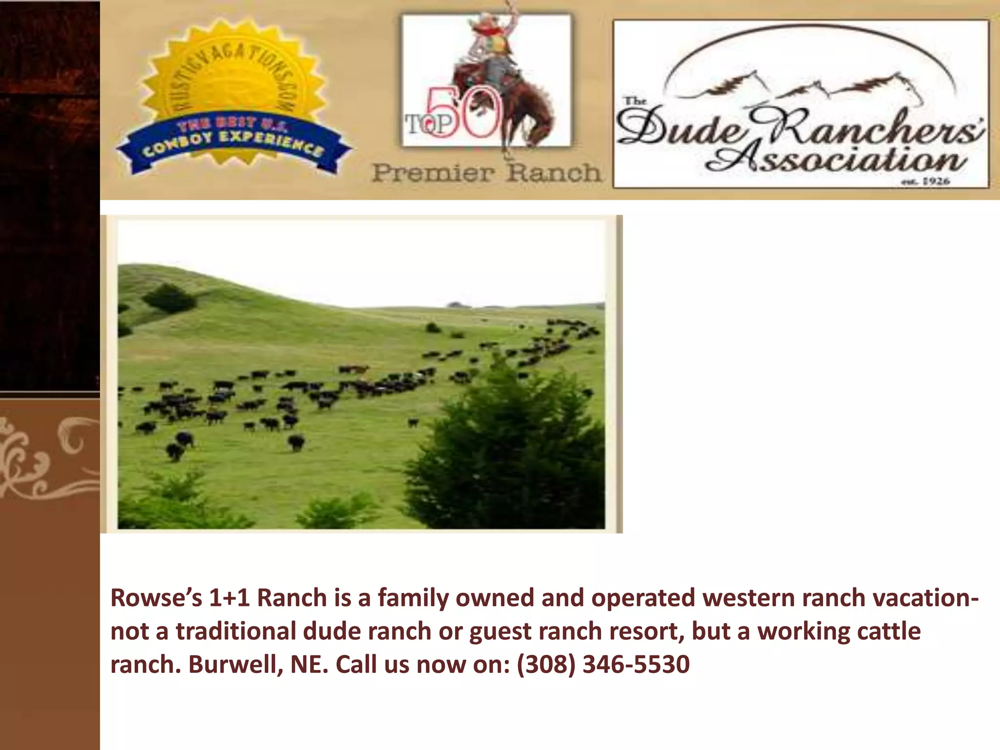 Rowse’s 1+1 Ranch is a family owned and operated western ranch vacationnot a traditional dude ranch or guest ranch resort, but a working cattle
ranch. Burwell, NE. Call us now on: (308) 346-5530

 