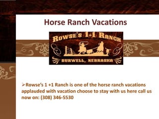 Horse Ranch Vacations

Rowse’s 1 +1 Ranch is one of the horse ranch vacations
applauded with vacation choose to stay with us here call us
now on: (308) 346-5530

 