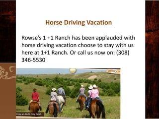 Horse Driving Vacation
Rowse’s 1 +1 Ranch has been applauded with
horse driving vacation choose to stay with us
here at 1+1 Ranch. Or call us now on: (308)
346-5530

 