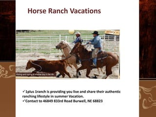 Horse Ranch Vacations

1plus 1ranch is providing you live and share their authentic
ranching lifestyle in summer Vacation.
Contact to 46849 833rd Road Burwell, NE 68823

 