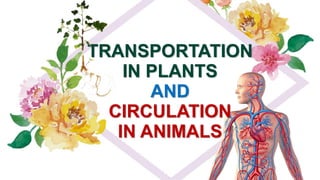 TRANSPORTATION
IN PLANTS
AND
CIRCULATION
IN ANIMALS
07/23/2021
 