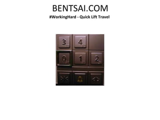 BENTSAI.COM
#WorkingHard - Quick Lift Travel
 
