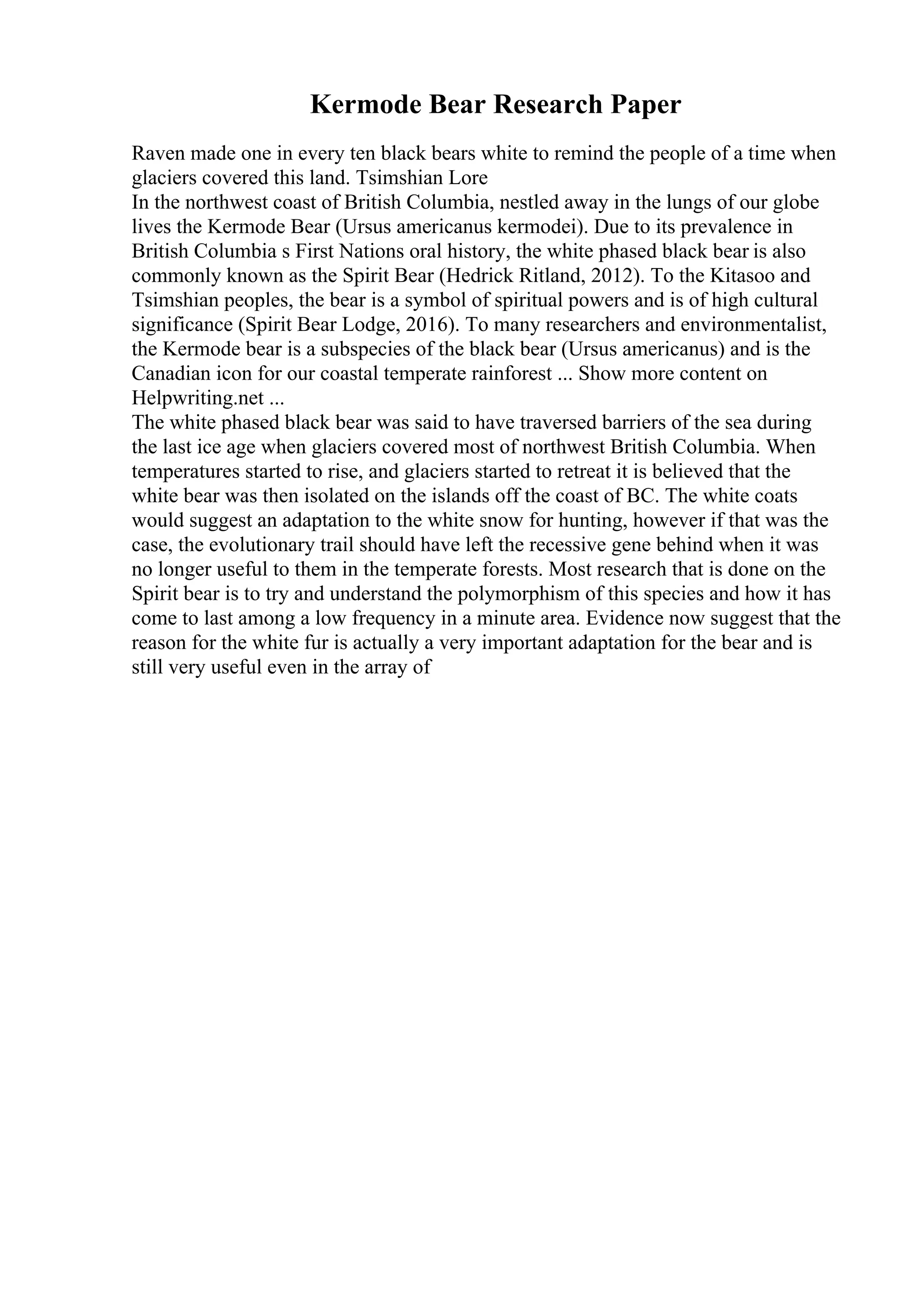 Kermode Bear Research Paper
Raven made one in every ten black bears white to remind the people of a time when
glaciers covered this land. Tsimshian Lore
In the northwest coast of British Columbia, nestled away in the lungs of our globe
lives the Kermode Bear (Ursus americanus kermodei). Due to its prevalence in
British Columbia s First Nations oral history, the white phased black bear is also
commonly known as the Spirit Bear (Hedrick Ritland, 2012). To the Kitasoo and
Tsimshian peoples, the bear is a symbol of spiritual powers and is of high cultural
significance (Spirit Bear Lodge, 2016). To many researchers and environmentalist,
the Kermode bear is a subspecies of the black bear (Ursus americanus) and is the
Canadian icon for our coastal temperate rainforest ... Show more content on
Helpwriting.net ...
The white phased black bear was said to have traversed barriers of the sea during
the last ice age when glaciers covered most of northwest British Columbia. When
temperatures started to rise, and glaciers started to retreat it is believed that the
white bear was then isolated on the islands off the coast of BC. The white coats
would suggest an adaptation to the white snow for hunting, however if that was the
case, the evolutionary trail should have left the recessive gene behind when it was
no longer useful to them in the temperate forests. Most research that is done on the
Spirit bear is to try and understand the polymorphism of this species and how it has
come to last among a low frequency in a minute area. Evidence now suggest that the
reason for the white fur is actually a very important adaptation for the bear and is
still very useful even in the array of
 