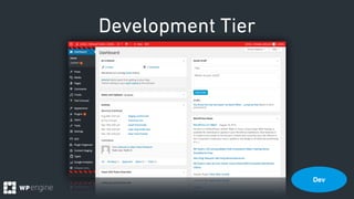Development Tier
Dev
 