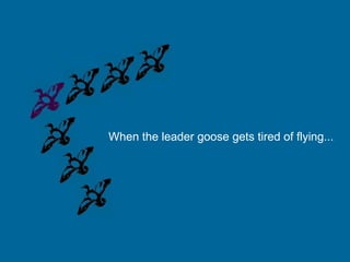 When the leader goose gets tired of flying...
 