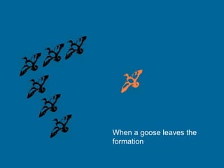 When a goose leaves the
formation..
 