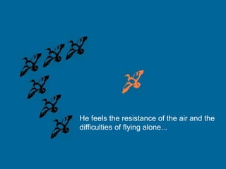 He feels the resistance of the air and the
difficulties of flying alone....
 