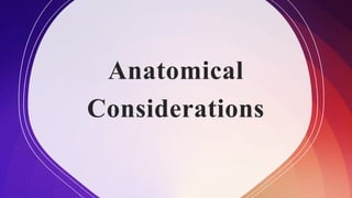 Anatomical
Considerations
 