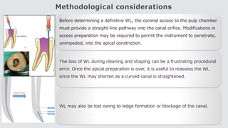 Methodological considerations
Before determining a definitive WL, the coronal access to the pulp chamber
must provide a straight-line pathway into the canal orifice. Modifications in
access preparation may be required to permit the instrument to penetrate,
unimpeded, into the apical constriction.
The loss of WL during cleaning and shaping can be a frustrating procedural
error. Once the apical preparation is over, it is useful to reassess the WL
since the WL may shorten as a curved canal is straightened.
WL may also be lost owing to ledge formation or blockage of the canal.
 
