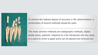 To achieve the highest degree of accuracy in WL determination, a
combination of several methods should be used.
The most common methods are radiographic methods, digital
tactile sense, patients’ response to a file introduced into the canal,
or a point to which a paper point can be placed and removed dry.
 