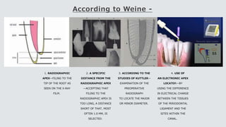 According to Weine -
1. RADIOGRAPHIC
APEX—FILING TO THE
TIP OF THE ROOT AS
SEEN ON THE X-RAY
FILM.
2. A SPECIFIC
DISTANCE FROM THE
RADIOGRAPHIC APEX
—ACCEPTING THAT
FILING TO THE
RADIOGRAPHIC APEX IS
TOO LONG, A DISTANCE
SHORT OF THAT, MOST
OFTEN 1.0 MM, IS
SELECTED.
3. ACCORDING TO THE
STUDIES OF KUTTLER—
EXAMINATION OF THE
PREOPERATIVE
RADIOGRAPH
TO LOCATE THE MAJOR
OR MINOR DIAMETER.
4. USE OF
AN ELECTRONIC APEX
LOCATOR—BY
USING THE DIFFERENCE
IN ELECTRICAL CHARGE
BETWEEN THE TISSUES
OF THE PERIODONTAL
LIGAMENT AND THE
SITES WITHIN THE
CANAL.
 