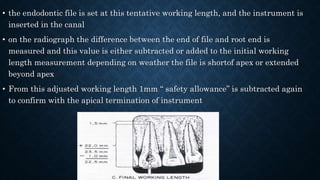 Endo Short Working Length Radiograph Working length determination IN ENDODONTICS | PPTX