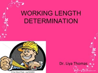 WORKING LENGTH
DETERMINATION
Dr. Liya Thomas
 