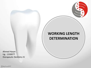 WORKING LENGTH
DETERMINATION
Ahmed Hasan
Ug : 1330077
therapeutic Dentistry IV
 