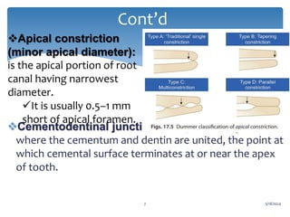 WORKING LENGTH DETERMINATION in endodontics-2.pptx