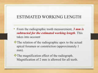 working length determination.pptx