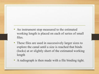 working length determination.pptx