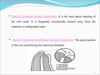 Working length determination and apex locator.ppt