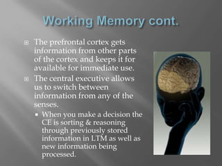    The prefrontal cortex gets
    information from other parts
    of the cortex and keeps it for
    available for immediate use.
   The central executive allows
    us to switch between
    information from any of the
    senses.
       When you make a decision the
        CE is sorting & reasoning
        through previously stored
        information in LTM as well as
        new information being
        processed.
 