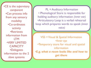 Working memory model | PDF