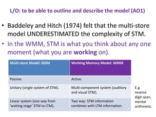 Msm Model Labelling Image Working memory model, case study cw & evaluate msm | PPTX