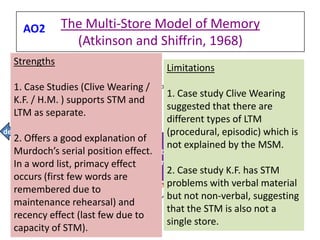 Working memory model, case study cw & evaluate msm | PPTX