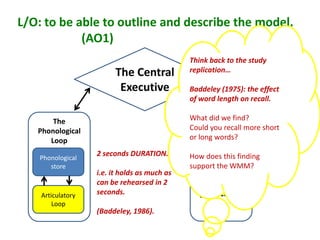 Working memory model, case study cw & evaluate msm | PPTX