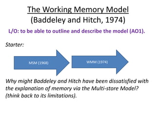 The Working Memory Model
            (Baddeley and Hitch, 1974)
 L/O: to be able to outline and describe the model (AO1).

Starter:

           MSM (1968)           WMM (1974)




Why might Baddeley and Hitch have been dissatisfied with
the explanation of memory via the Multi-store Model?
(think back to its limitations).
 