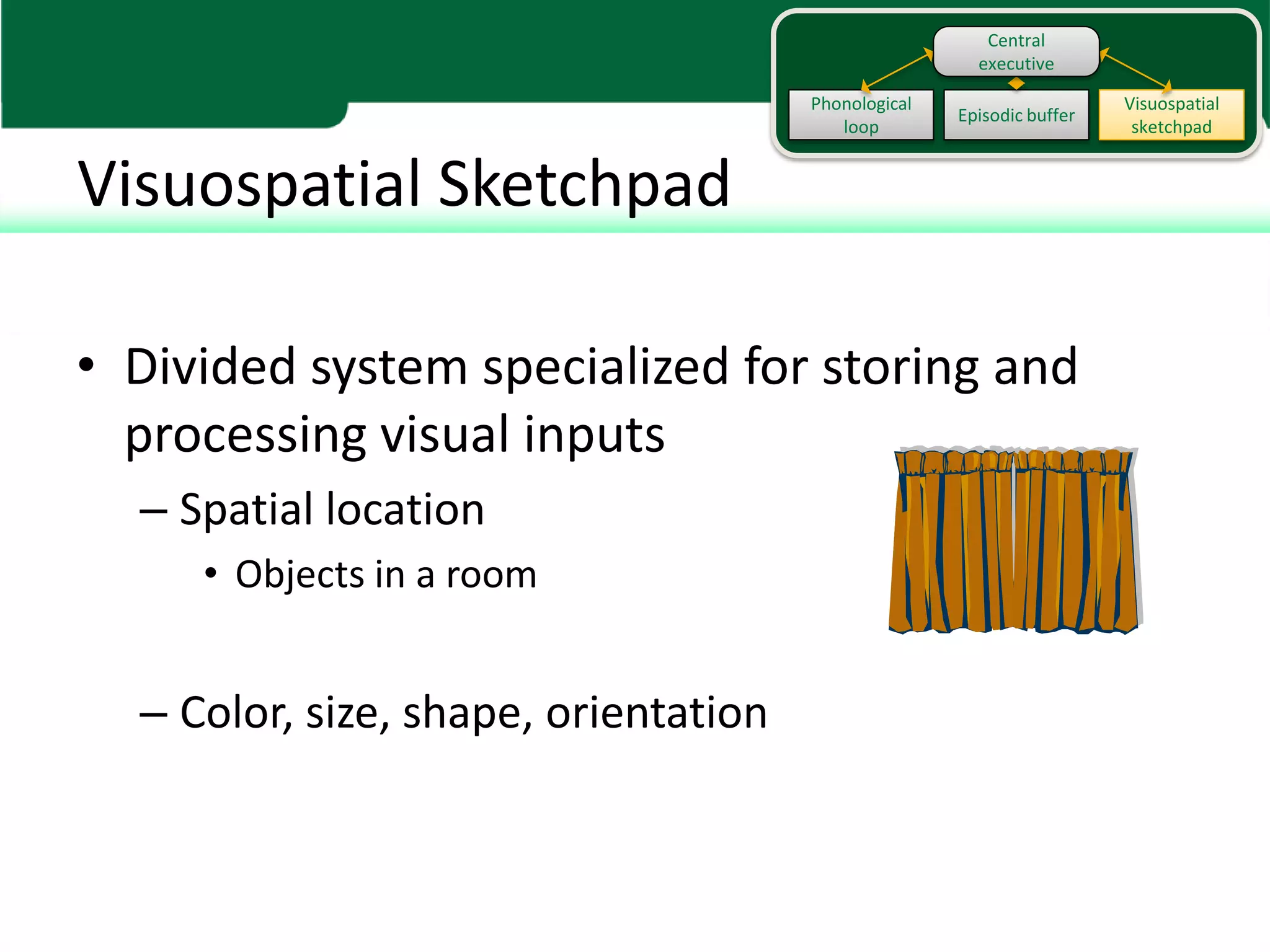 Working memory | PDF