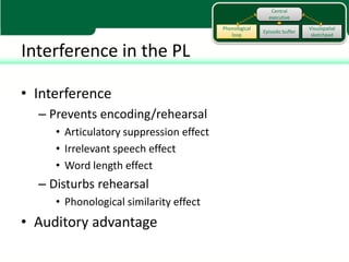 Central
                                                          executive

                                         Phonological                     Visuospatial
                                                        Episodic buffer
                                            loop                           sketchpad


Interference in the PL

• Interference
  – Prevents encoding/rehearsal
     • Articulatory suppression effect
     • Irrelevant speech effect
     • Word length effect
  – Disturbs rehearsal
     • Phonological similarity effect
• Auditory advantage
 