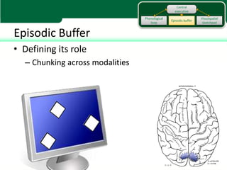 Central
                                                  executive

                                 Phonological                     Visuospatial
                                                Episodic buffer
                                    loop                           sketchpad


Episodic Buffer
• Defining its role
  – Chunking across modalities
 