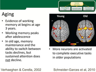 Central
                                                       executive

                                      Phonological                     Visuospatial
                                                     Episodic buffer
                                         loop                           sketchpad


Aging
• Evidence of working
  memory at begins at age
  3 years.
• Working memory peaks
  after adolescence
• In old age, memory
  maintenance and the
  ability to switch between   • More neurons are activated
  tasks declines, but           to complete executive tasks
  sustained attention does      in older populations
  not decline.

Verhaeghen & Cerella, 2002       Schneider-Garces et al, 2010
 
