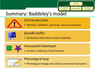 Central
                                                           executive

                                          Phonological                     Visuospatial
                                                         Episodic buffer
                                             loop                           sketchpad


Summary: Baddeley’s model
       Central executive
       • Attention, inhibition, switching, resource allocation


       Episodic buffer
       • Synthesizes information across modalities


       Visuospatial sketchpad
       • Location, trajectory, visual features


       Phonological loop
       • Phonological storage and subvocal rehearsal mechanism
 