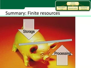 Central
                                         executive

                        Phonological                     Visuospatial
                                       Episodic buffer
                           loop                           sketchpad


Summary: Finite resources


        Storage




                      Processing
 