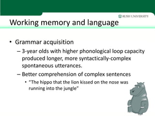 Working memory and language

• Grammar acquisition
  – 3-year olds with higher phonological loop capacity
    produced longer, more syntactically-complex
    spontaneous utterances.
  – Better comprehension of complex sentences
     • “The hippo that the lion kissed on the nose was
       running into the jungle”
 