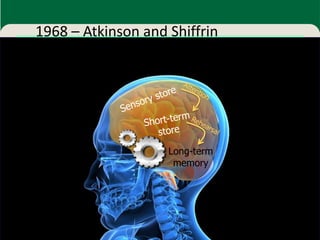 1968 – Atkinson and Shiffrin




                    Long-term
                     memory
 