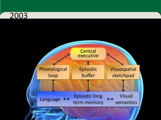 2003


                         Central
                        executive

       Phonological     Episodic      Visuospatial
          loop           buffer        sketchpad


                      Episodic long       Visual
       Language
                      term memory       semantics

                                                     57
 