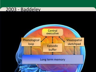 2003 - Baddeley


                           Central
                          executive

       Phonological                      Visuospatial
          loop                            sketchpad
                          Episodic
                           buffer


                      Long term memory

                                                        7
 
