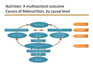 Multisectoral Approaches for Improving Nutrition: Lessons from Global Experiences