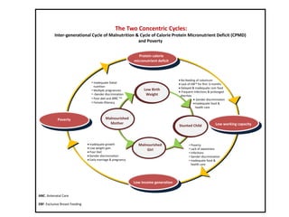 Working multisectorally to improve maternal and child nutrition in India: The Karnataka Comprehensive Nutrition Mission