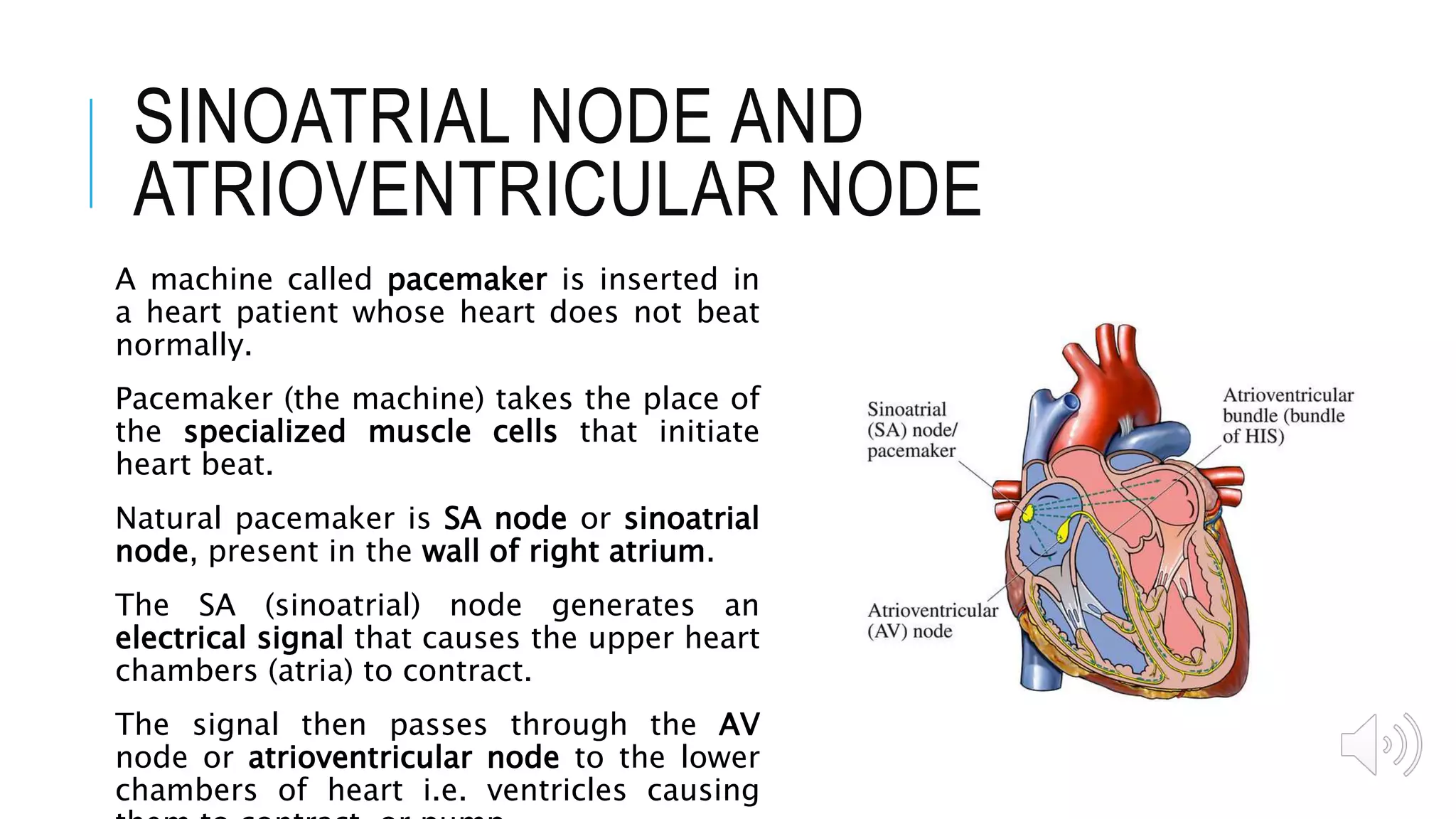 Working of Human Heart .pptx