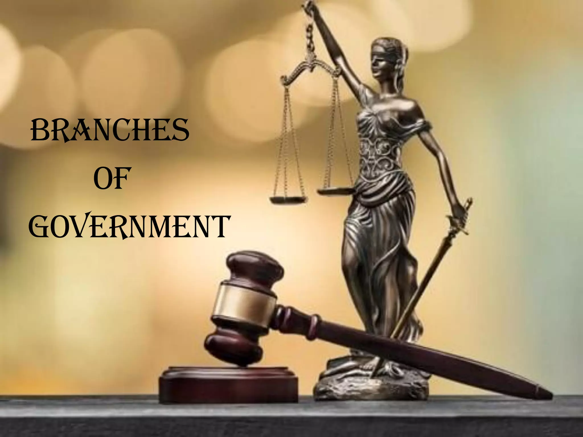 BRANCHES
OF
GOVERNMENT
 