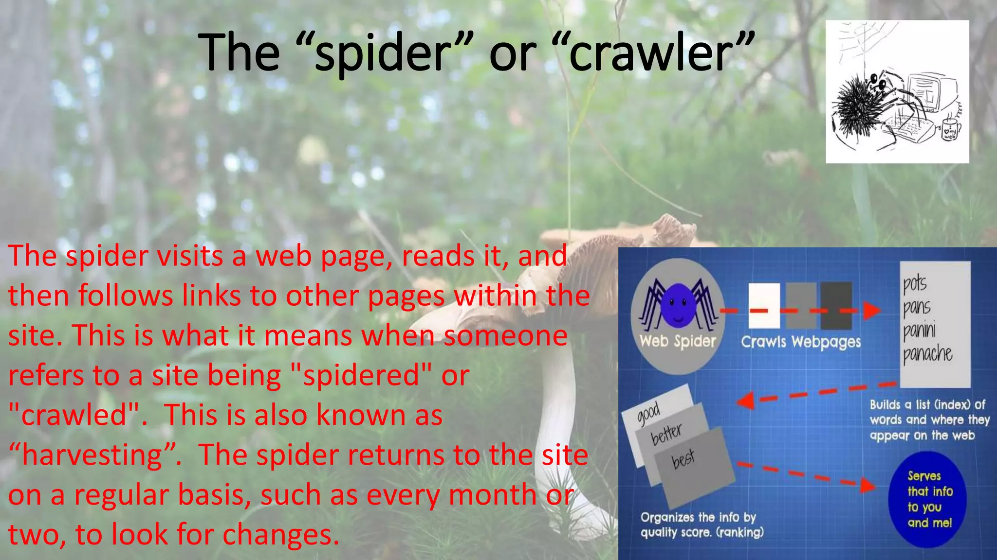 The “spider” or “crawler”
The spider visits a web page, reads it, and
then follows links to other pages within the
site. This is what it means when someone
refers to a site being "spidered" or
"crawled". This is also known as
“harvesting”. The spider returns to the site
on a regular basis, such as every month or
two, to look for changes.
 